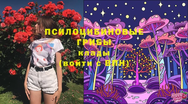 дживик Покровск