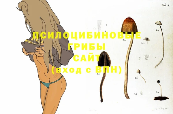 эйфоретик Абинск