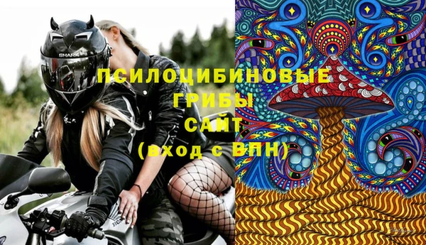ПСИЛОЦИБИНОВЫЕ ГРИБЫ Покачи