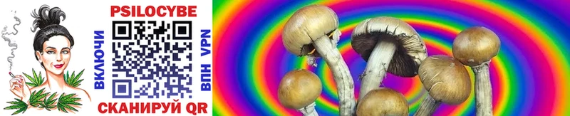 гидра tor закладки Кумертау Галлюциногенные грибы Cubensis
